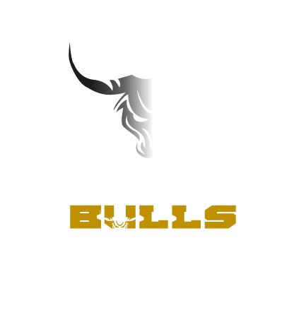 The Bulls Trading